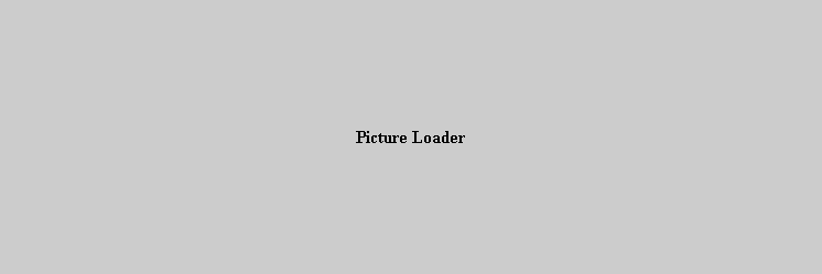 Picture Loader